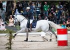 Pferd International 177